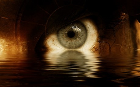 gt8b653fdg7tc5rmd6ogkggni1544b56ace1276