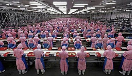 iSlave-iPhone-5-Foxconn1