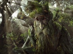 Lord-of-The-Rings-Treebeard