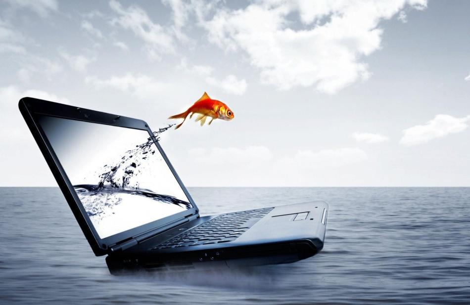 The-Notebook-Water-Fish-Jumping-Out-Of-A-Laptop-Computer-3d