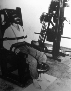 tumblr_ly3se4ypG31r13gsho1_500